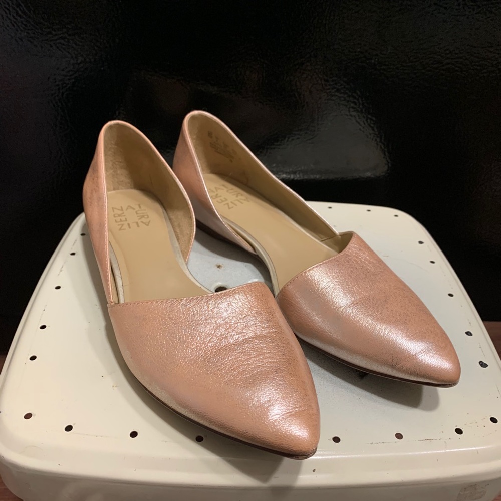 Pointed D’orsay Flat